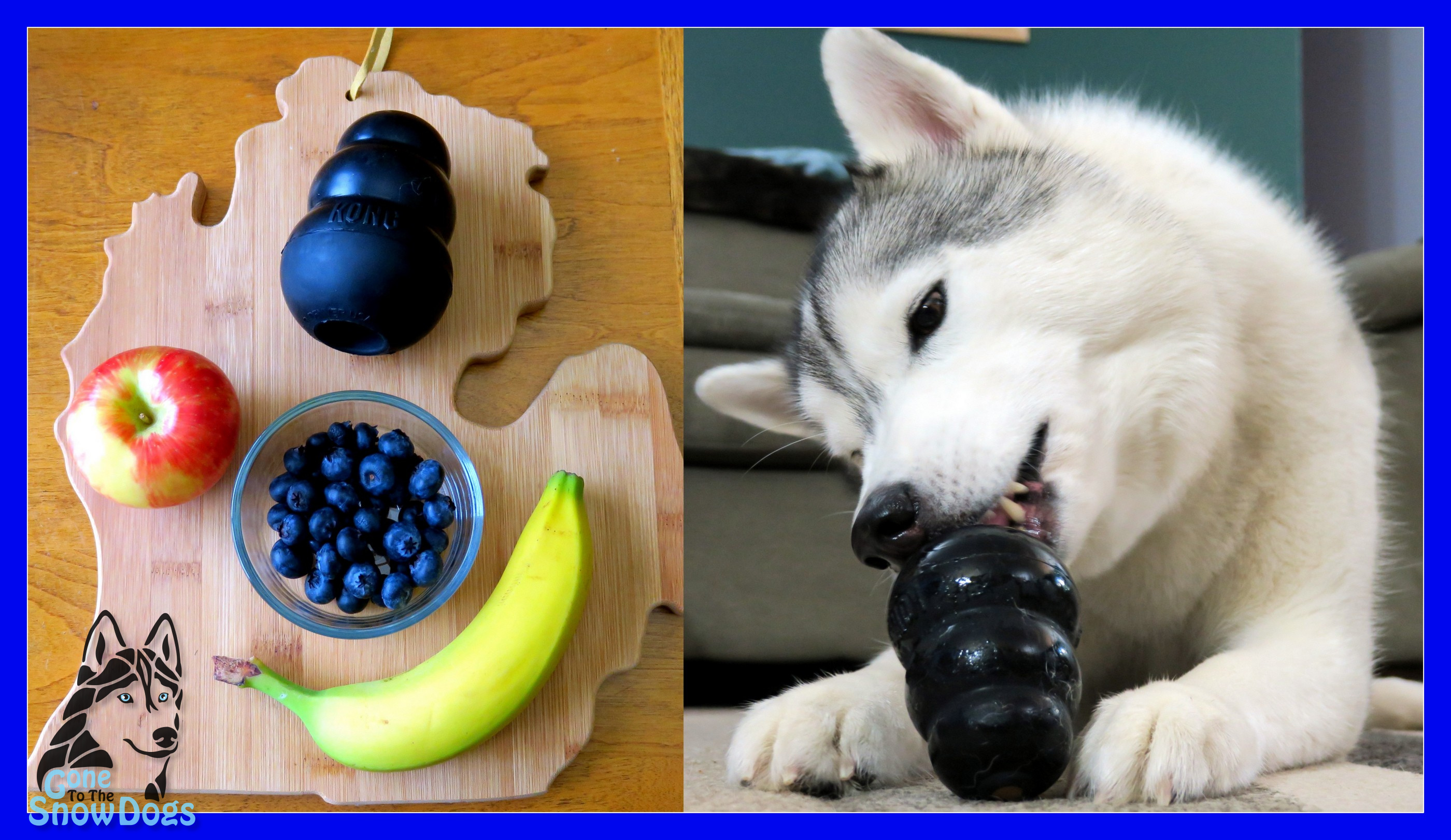 things to put in kongs for puppies