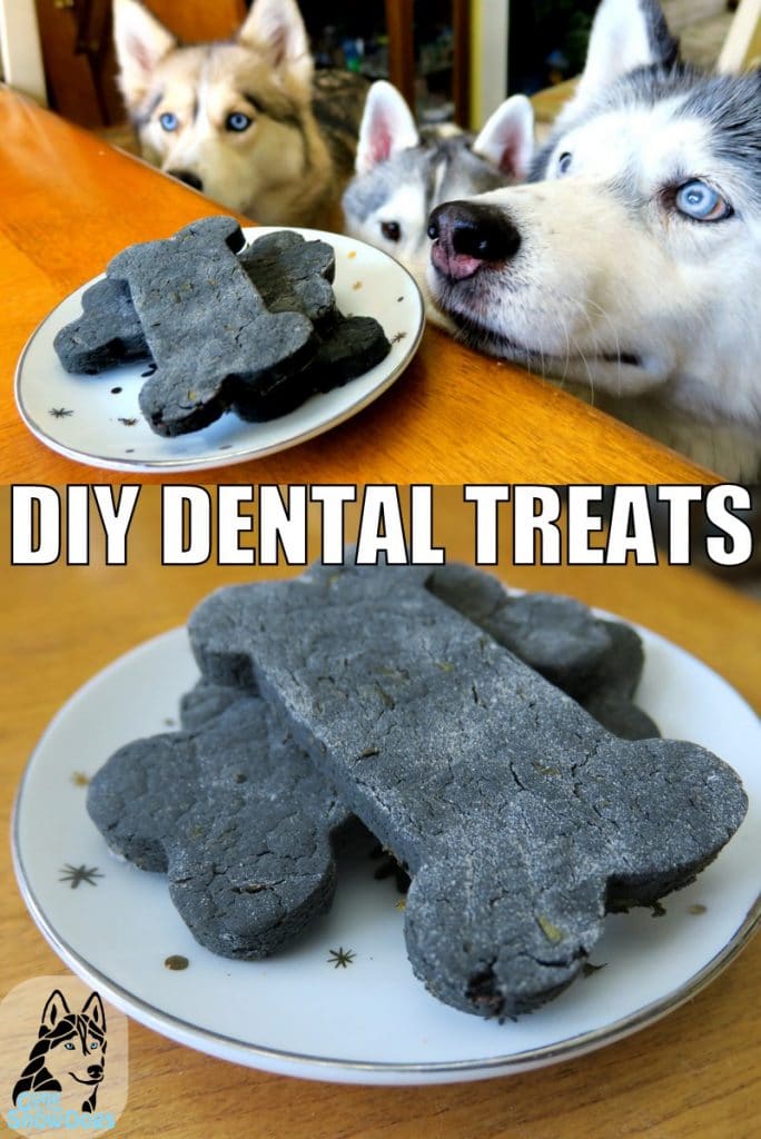 activated charcoal dog treats
