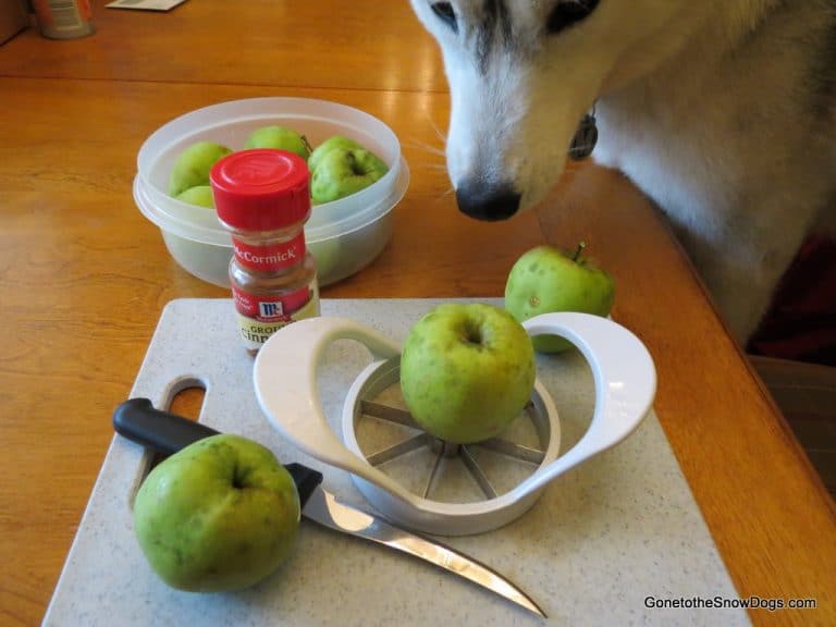 Easy Apple Chips for Dogs Homemade Dog Treats Gone to the Snow Dogs