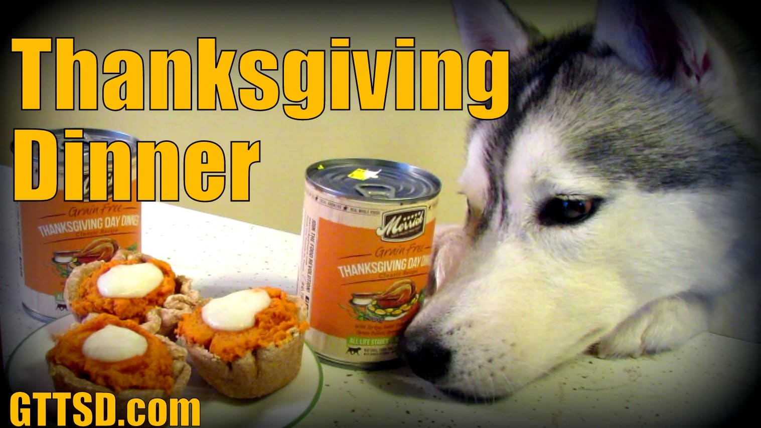 Thanksgiving Dinner for Dogs