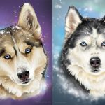Win these Husky Posters