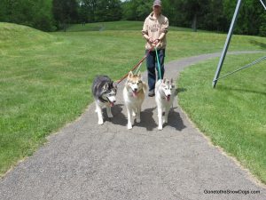 Hiking with the Huskies