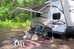 Huskies at Camp