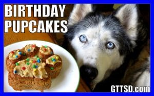 Homemade Dog Birthday Cupcakes