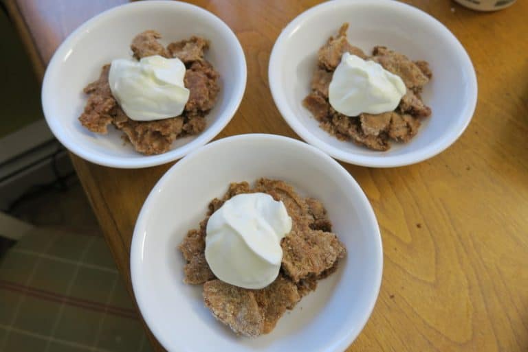 Snapshot of Can Dogs Have Apple Crisp With Vanilla
