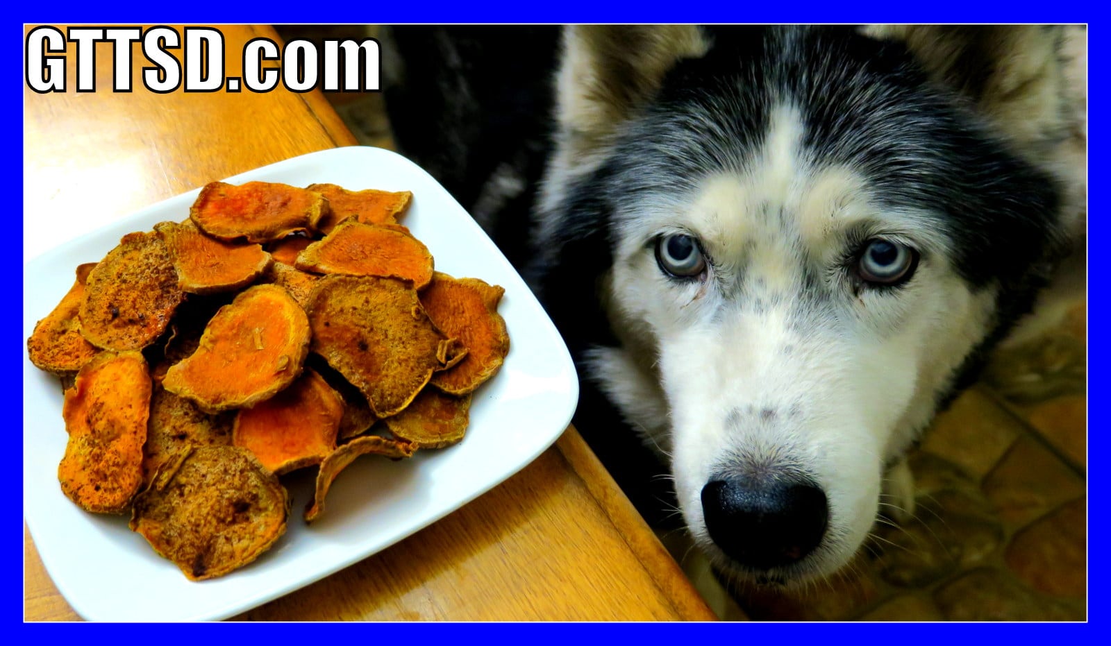 DIY Gluten Free Sweet Potato Dog Treats