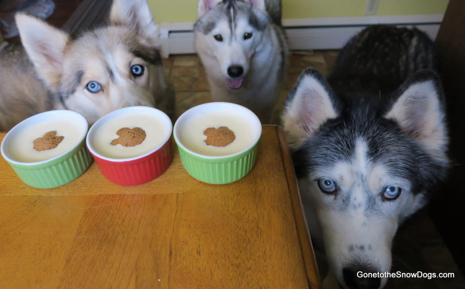 DIY DOG EGGNOG Christmas Dog Treats Gone to the Snow Dogs