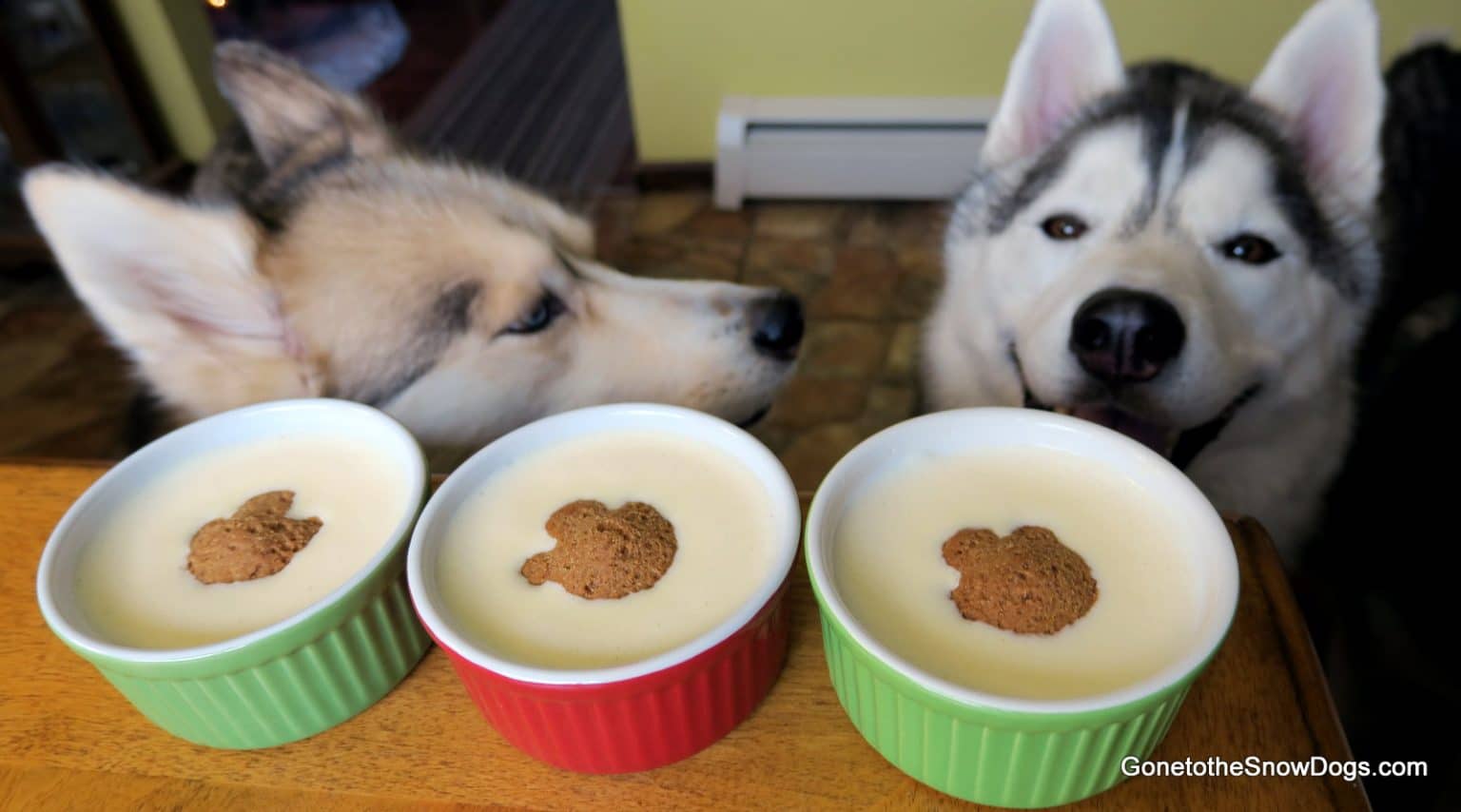 DIY DOG EGGNOG Christmas Dog Treats Gone to the Snow Dogs