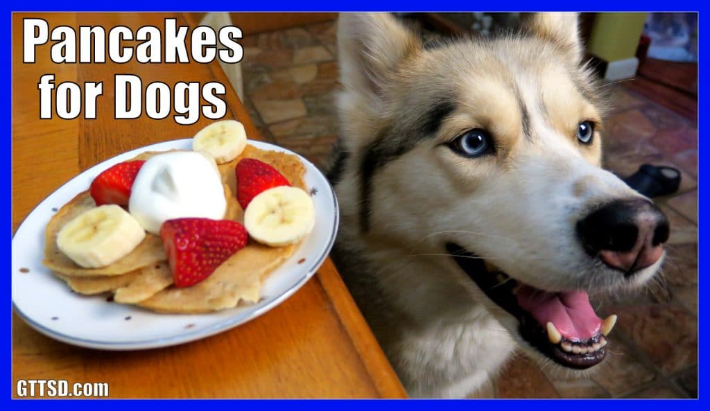 DIY Pancakes for dogs