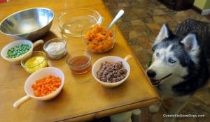 St. Patrick's Day Shepherds Pie for Dogs