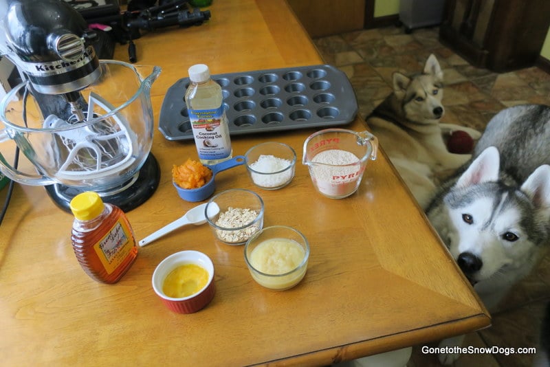 DIY Cupcakes for dogs