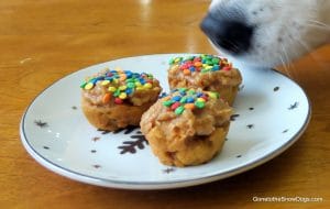 DIY Birthday Pupcakes