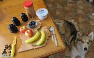 Fruit Salad Kong Dog Treat