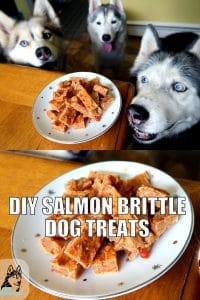 DIY Salmon Brittle Dog Treats