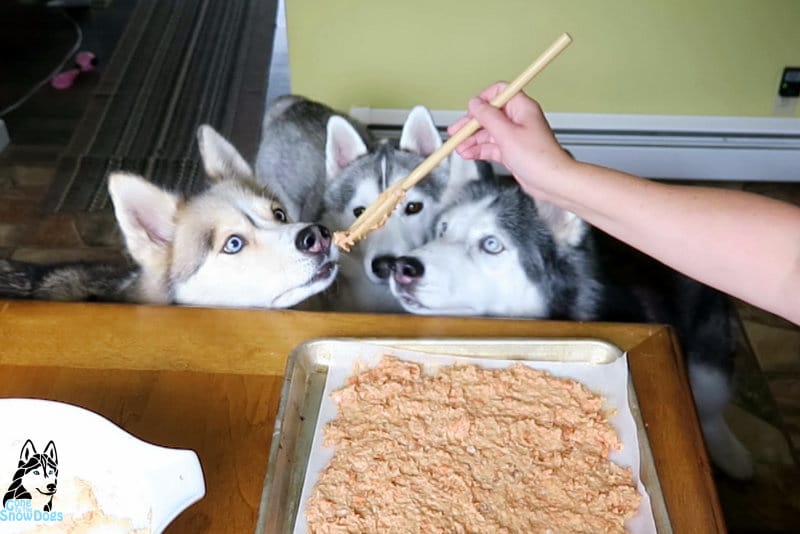 DIY Salmon Treats for dogs