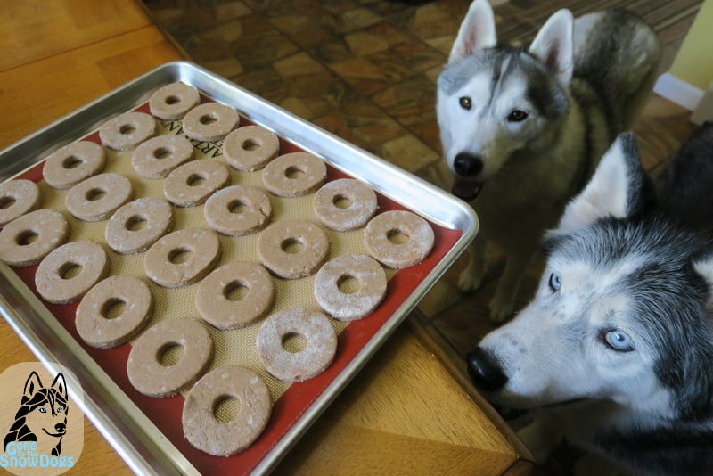 Diy Dog Donuts