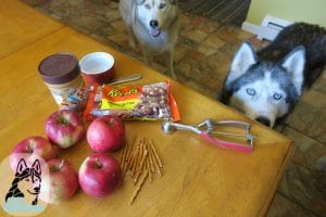 Halloween Dog Treats Caramel Apples for Dogs