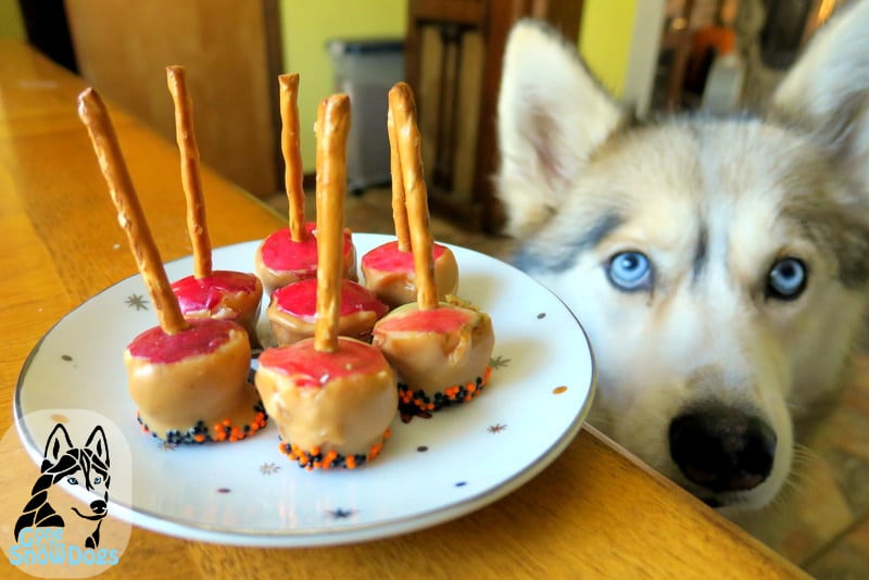 DIY Halloween Dog Treats Caramel Apples for Dogs