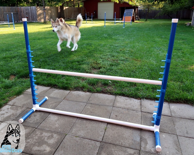 BIY Build your own Agility Jumps
