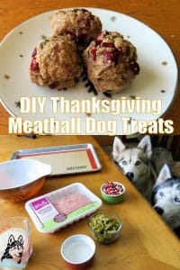 DIY Thanksgiving Dog Treats