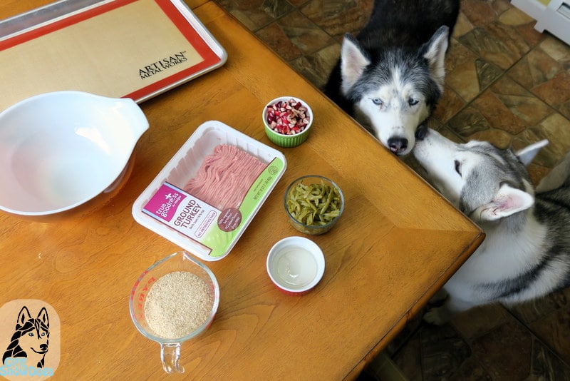 DIY Thanksgiving Dog Treats