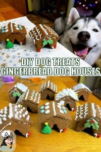 DIY Gingerbread Dog Houses for Christmas