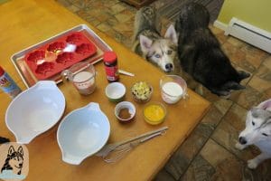 DIY Dog Treats Christmas Fruitcake
