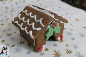 DIY Christmas Dog Treats Gingerbread Dog Houses