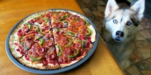 DIY Pizza for Dogs