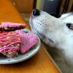 Valentine's Dog Treats DIY