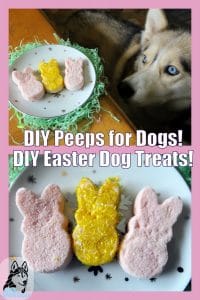 DIY marshmallow Peeps for dogs