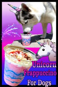 Unicorn Frappuccino for dogs