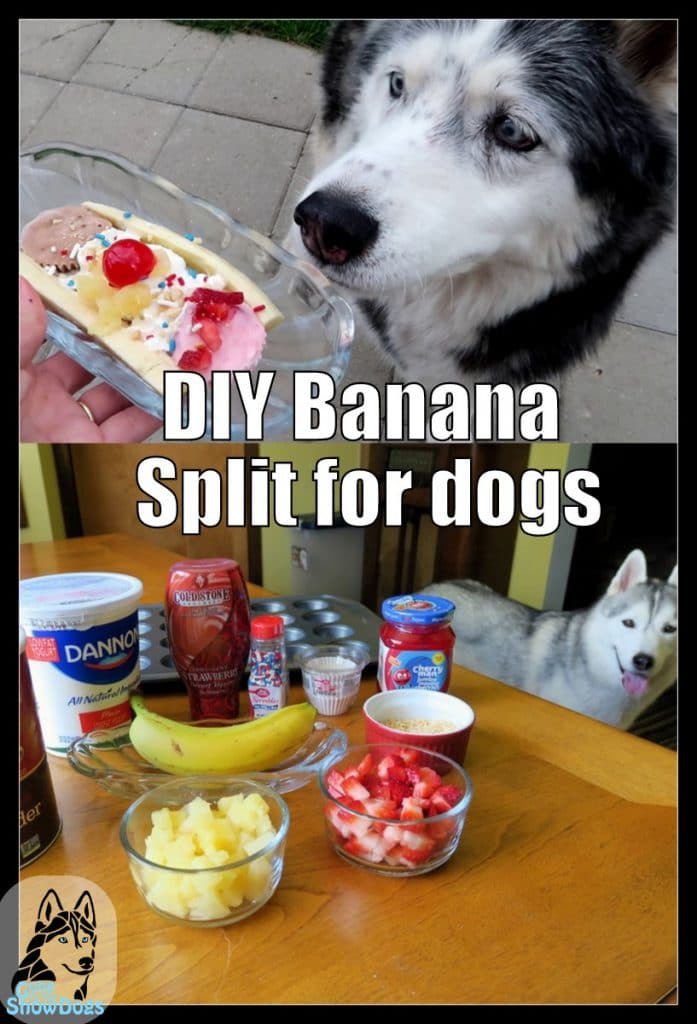 DIY Banana Split for Dogs