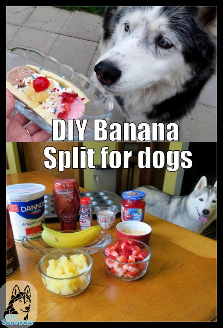 DIY BANANA SPLIT FOR DOGS DIY Dog Treats Gone to the Snow Dogs