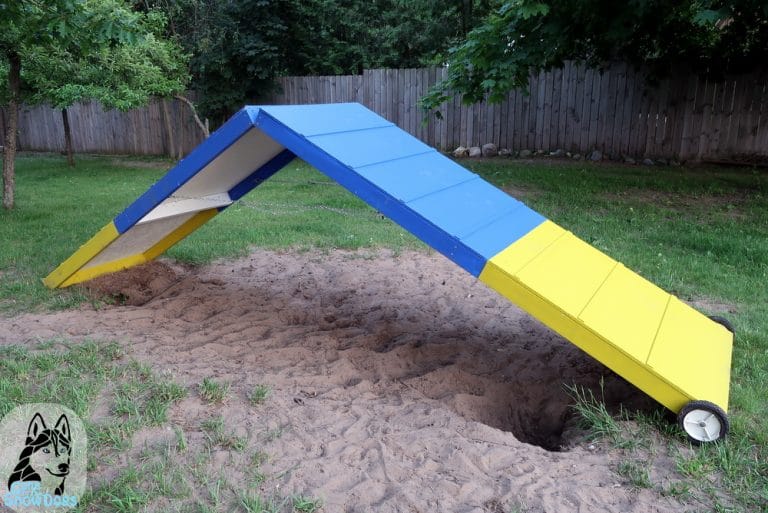 DIY A-Frame For Backyard Agility | Gone to the Snow Dogs