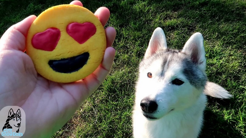 DIY Emoji Dog Treats