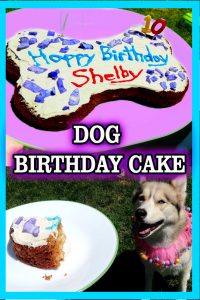 DIY Dog Birthday Cake