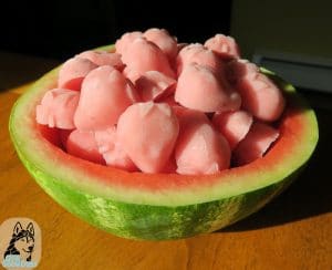 DIY Frozen Strawberry Watermelon Dog Treats