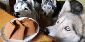 DIY Graham Crackers for dogs