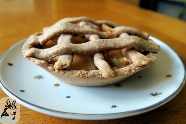 DIY APPLE PIE FOR DOGS Gone to the Snow Dogs
