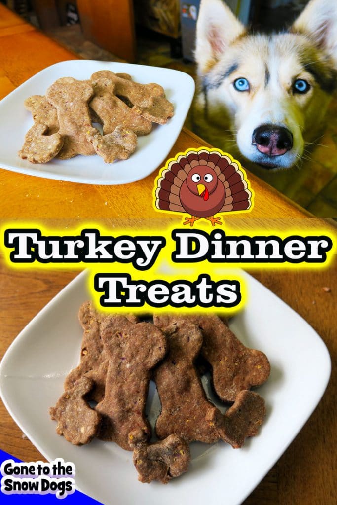 Thanksgiving Dinner for Dogs