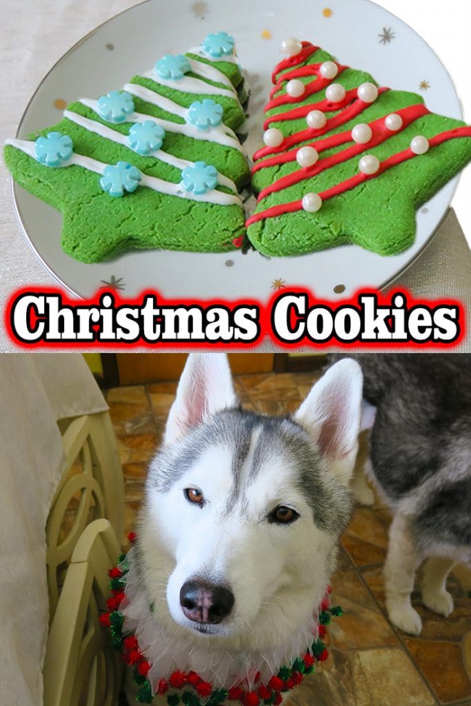 świąteczne ciasteczka dla psów