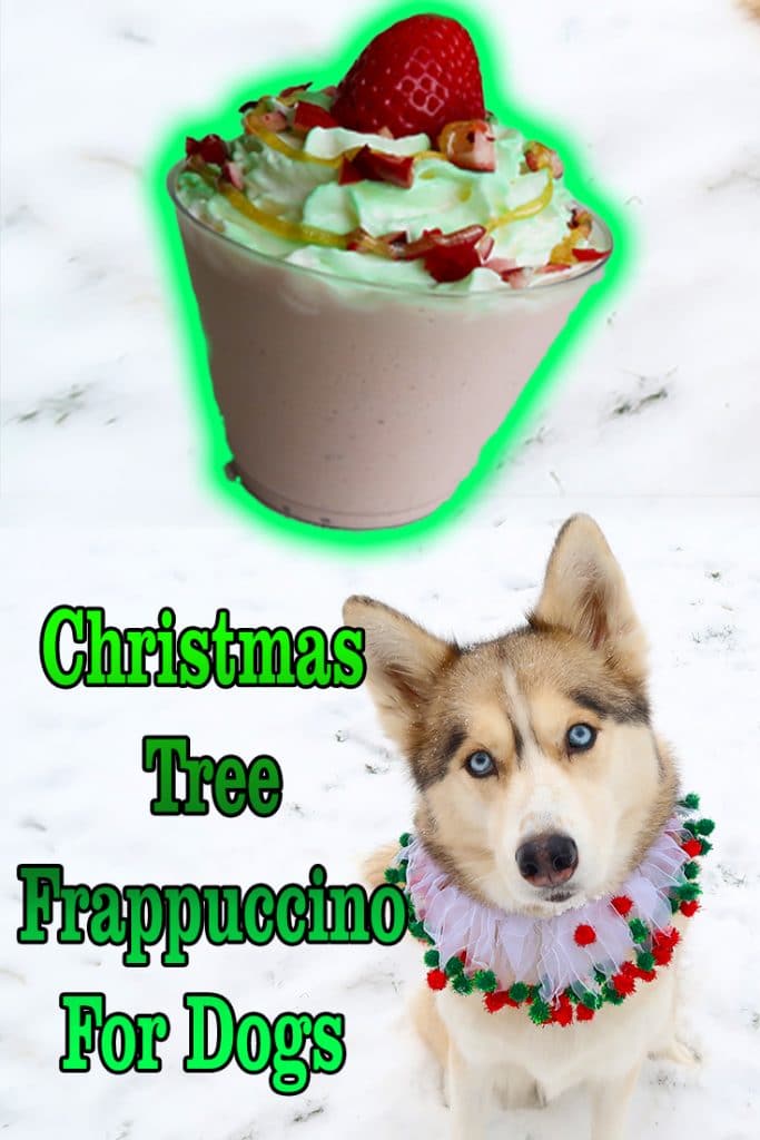 Christmas Tree Frappuccino for Dogs