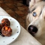Homemade Meatballs for Dogs