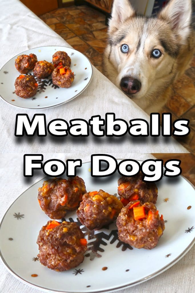 Homemade Meatballs for Dogs