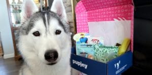 Pupjoy unboxing and review