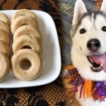 Cider Donuts For Dogs | Homemade Dog Treats Recipe