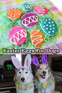 Easter Cookies for Dogs
