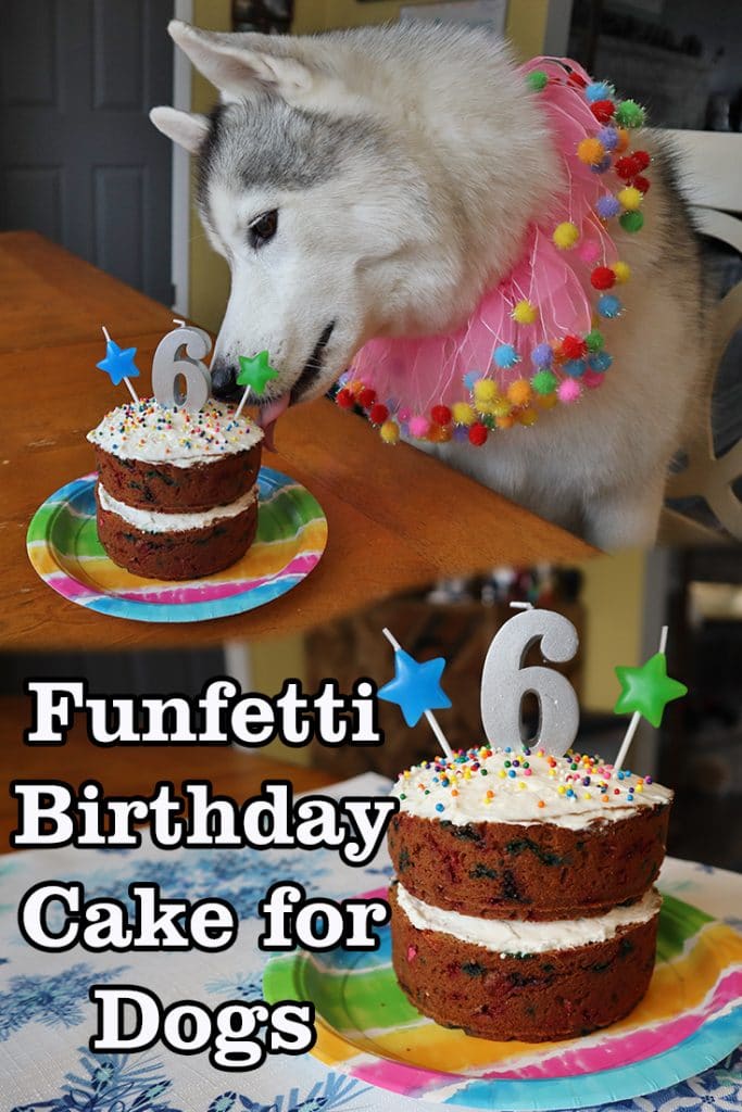 How to Make a FunFetti Birthday Cake for Dogs