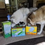 The Dog Days of Summer Saved by Swiffer